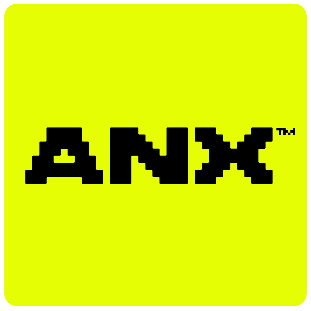 ANX™ – AI Consulting Group